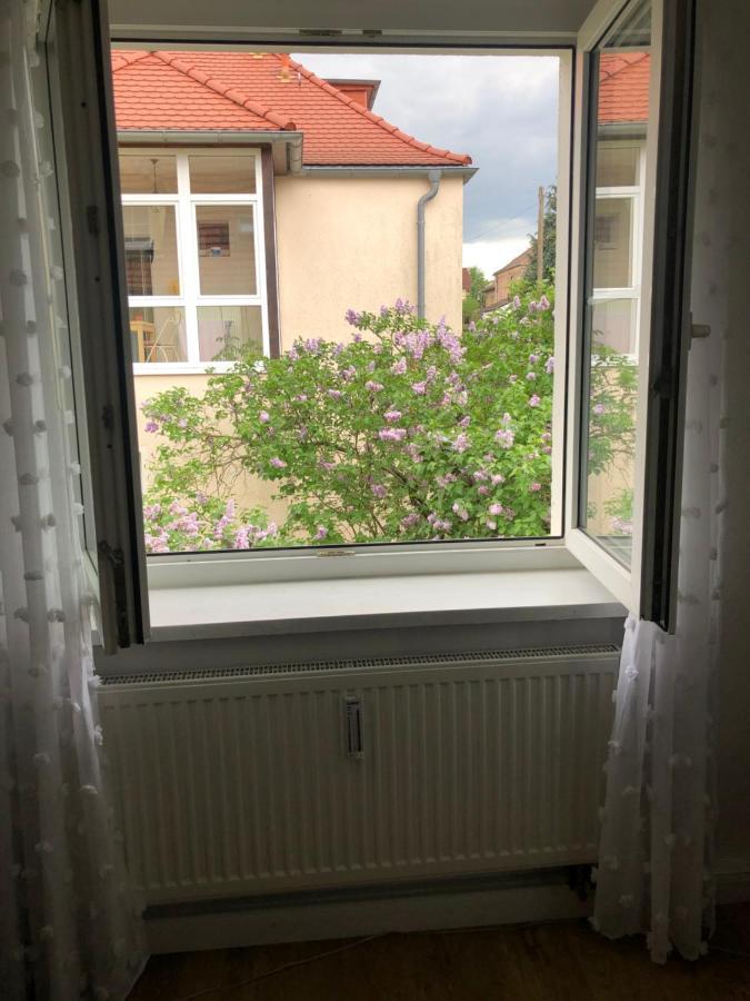 Wohlfuehloase Dresden Nickern Leilighet Eksteriør bilde
